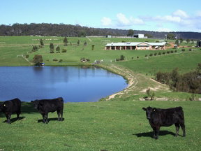 Stargazers - Accommodation Bookings 2