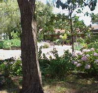Peaceful Bay Bed and Breakfast - Accommodation Bookings