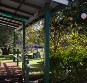 Bow River Cottage - Accommodation Bookings