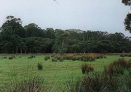 Bush Haven - Accommodation Bookings 4