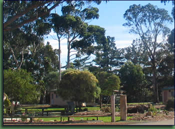 Kalgan River Chalets And Caravan Park - Accommodation Bookings 0