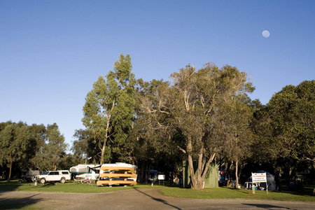 Molloy Caravan Park - Accommodation Bookings 1
