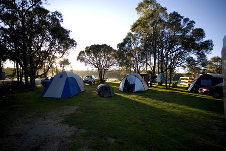 Molloy Caravan Park - Accommodation Bookings 2