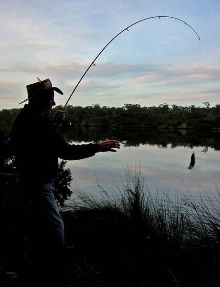 Molloy Caravan Park - Accommodation Bookings 5