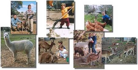 Kemminup Farm - Accommodation Bookings 2