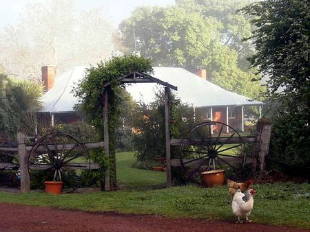 Clover Cottage Country Retreat - Accommodation Bookings 4