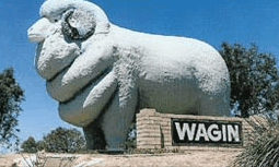Wagin Motel - Accommodation Bookings