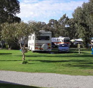Pinjarra Caravan Park - Accommodation Bookings