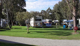 Pinjarra Caravan Park - Accommodation Bookings 0