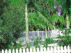 Pinjarra Caravan Park - Accommodation Bookings 3