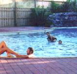 Shark Bay Caravan Park - Accommodation Bookings
