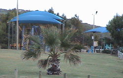 Horrocks Beach Caravan Park - Accommodation Bookings 5