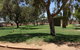 Alice Atkinson Caravan Park - thumb 2