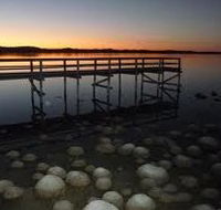 Lake Clifton Caravan Park - Accommodation Bookings