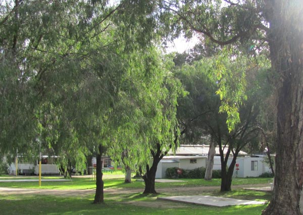 Lake Clifton Caravan Park - thumb 2