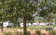 Goomalling Caravan Park - thumb 2