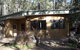 Bamarang Bush Retreat - thumb 1