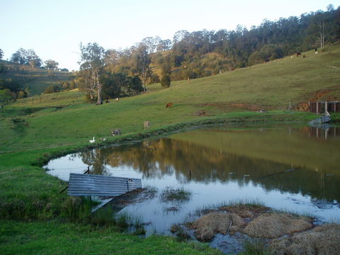 Barkeldine Farm Country Retreat - Accommodation Bookings 0