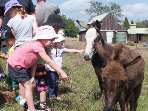 Barkeldine Farm Country Retreat - Accommodation Bookings 2