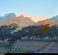 Barney Creek Vineyard Cottages - Accommodation Bookings