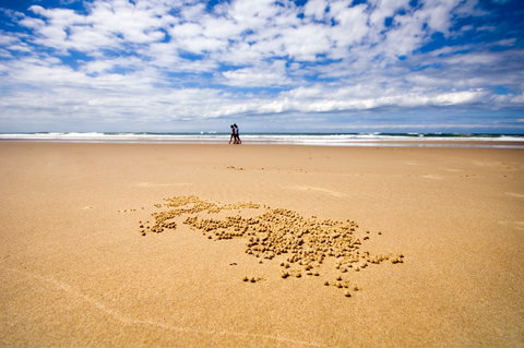 BIG4 Nambucca Beach Holiday Park - Accommodation Bookings 1