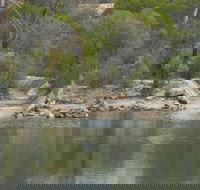 Boondi Rock Camp at Goldfields Woodlands National Park - Accommodation Bookings