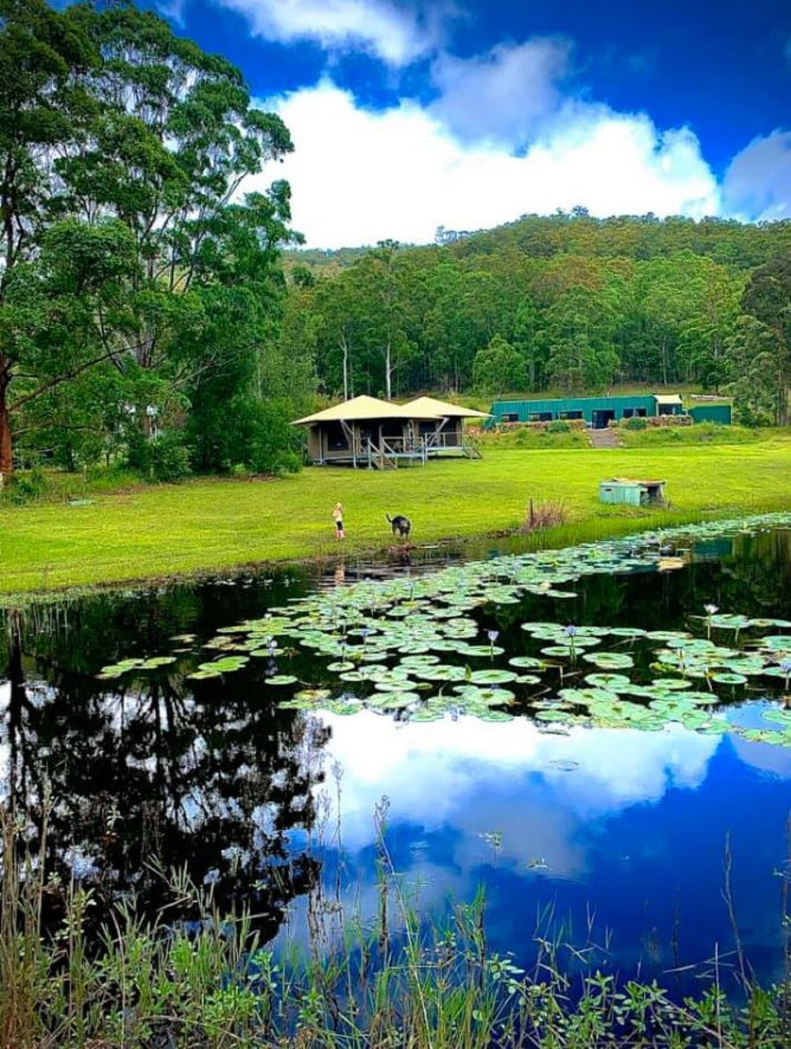Warranulla NSW Accommodation Bookings