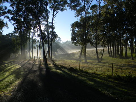 Cygnet Park Country Retreat - Accommodation Bookings 2