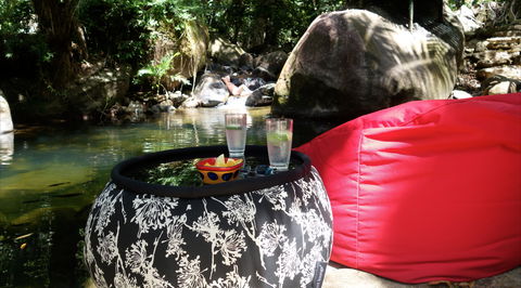 Daintree Secrets Rainforest Sanctuary - Accommodation Bookings 1