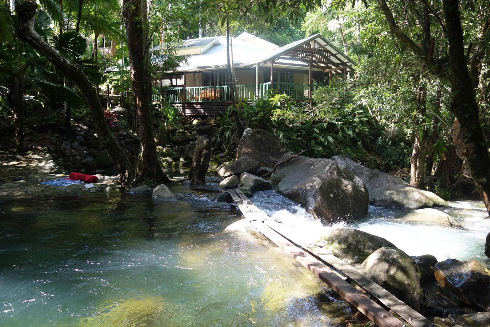 Daintree Secrets Rainforest Sanctuary - thumb 2