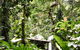 Daintree Ecolodge - thumb 0