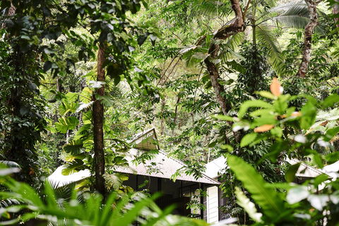 Daintree Ecolodge - Accommodation Bookings 0