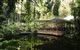 Daintree Ecolodge - thumb 1