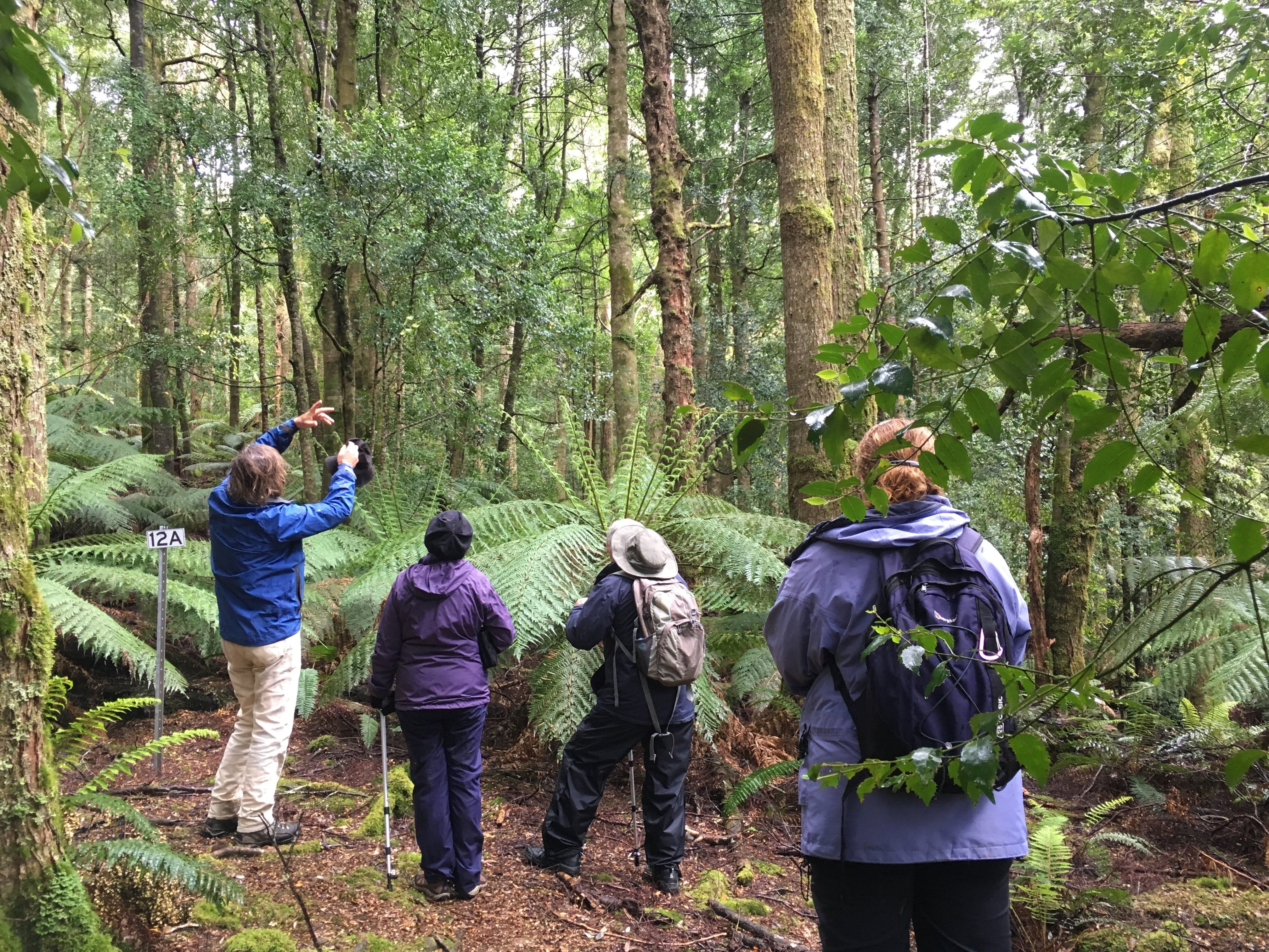 Forest Walks Lodge - Eco-Accommodation - thumb 1