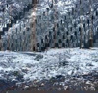 High Peaks Cottages - Accommodation Bookings