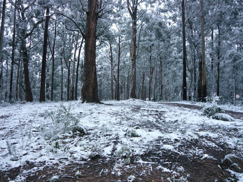 High Peaks Cottages - Accommodation Bookings 0