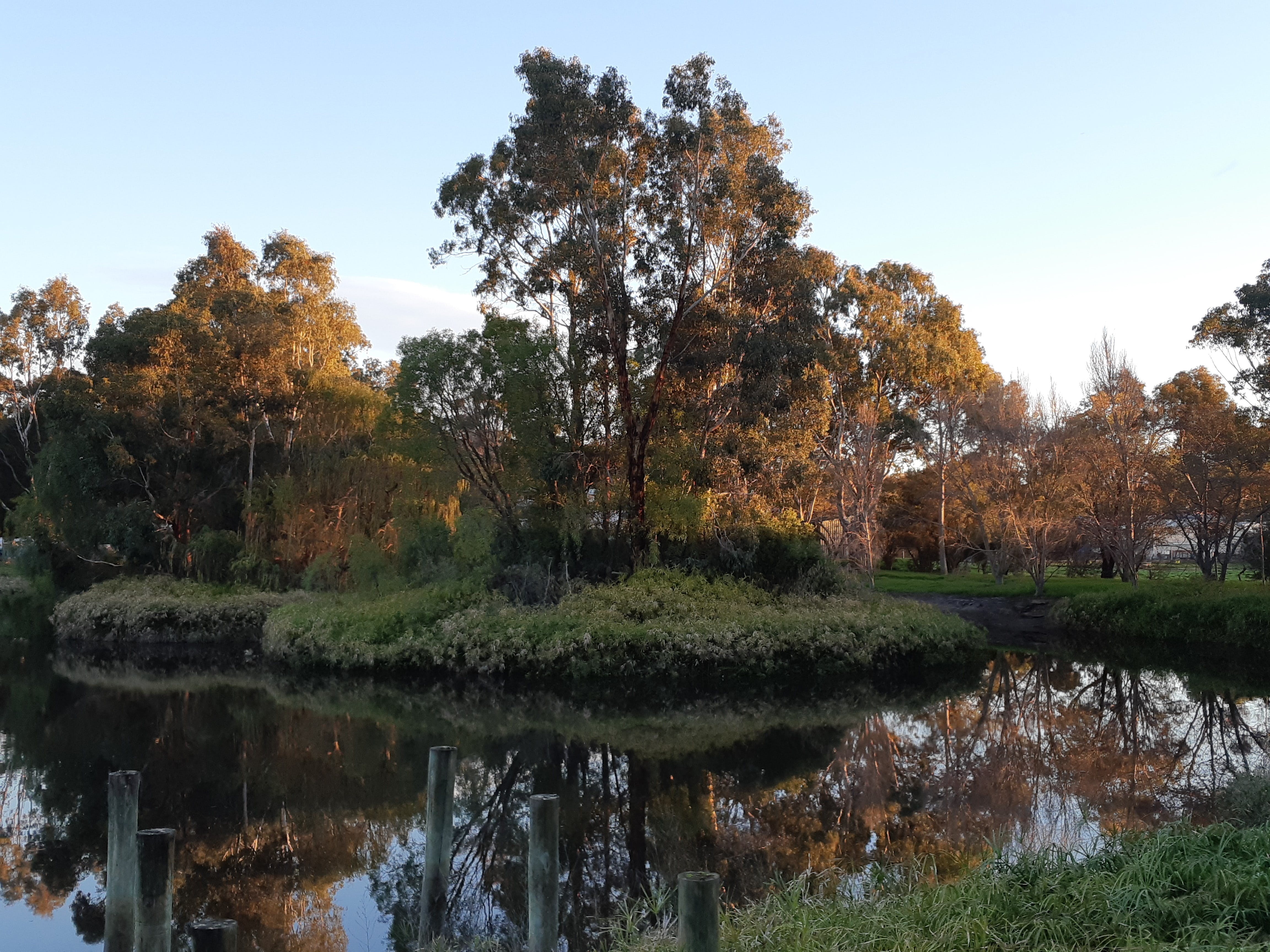 McLaren Vale Lakeside Caravan Park - thumb 1