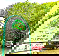 Molong Caravan Park - Accommodation Bookings