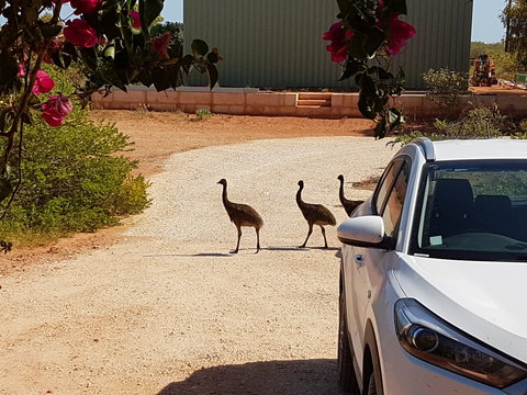 Ningaloo Bed And Breakfast - Accommodation Bookings 1