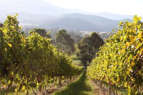 Rosetta's Garden Guesthouse - Accommodation Bookings 0