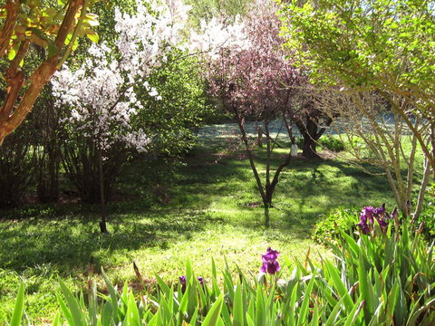 Sofala Cottage - Accommodation Bookings 0