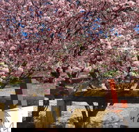 Sol Y Vista - Accommodation Bookings