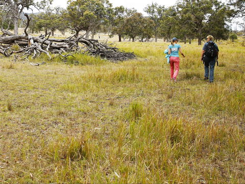 Sundown National Park Camping - Accommodation Bookings 2