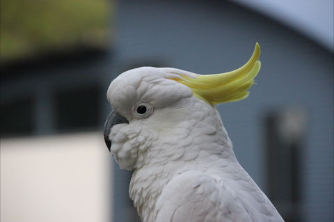 Sundial Holiday Apartments - Accommodation Bookings 1