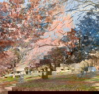 Tumbarumba Caravan Park - Accommodation Bookings