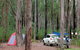 Wallingat River Campground - thumb 0