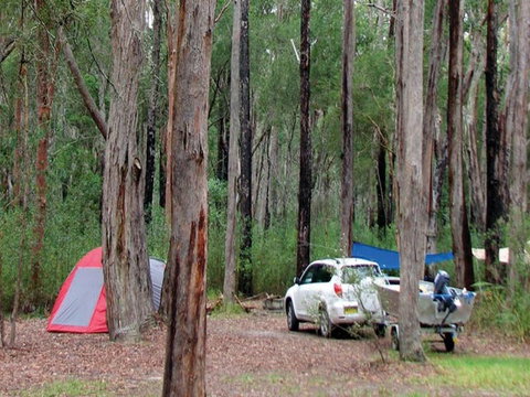 Wallingat River Campground - Accommodation Bookings 0