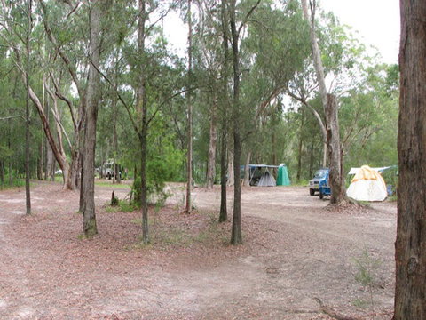 Wallingat River Campground - Accommodation Bookings 1