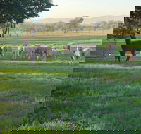 Wallinga Studio Farmstay - Accommodation Bookings