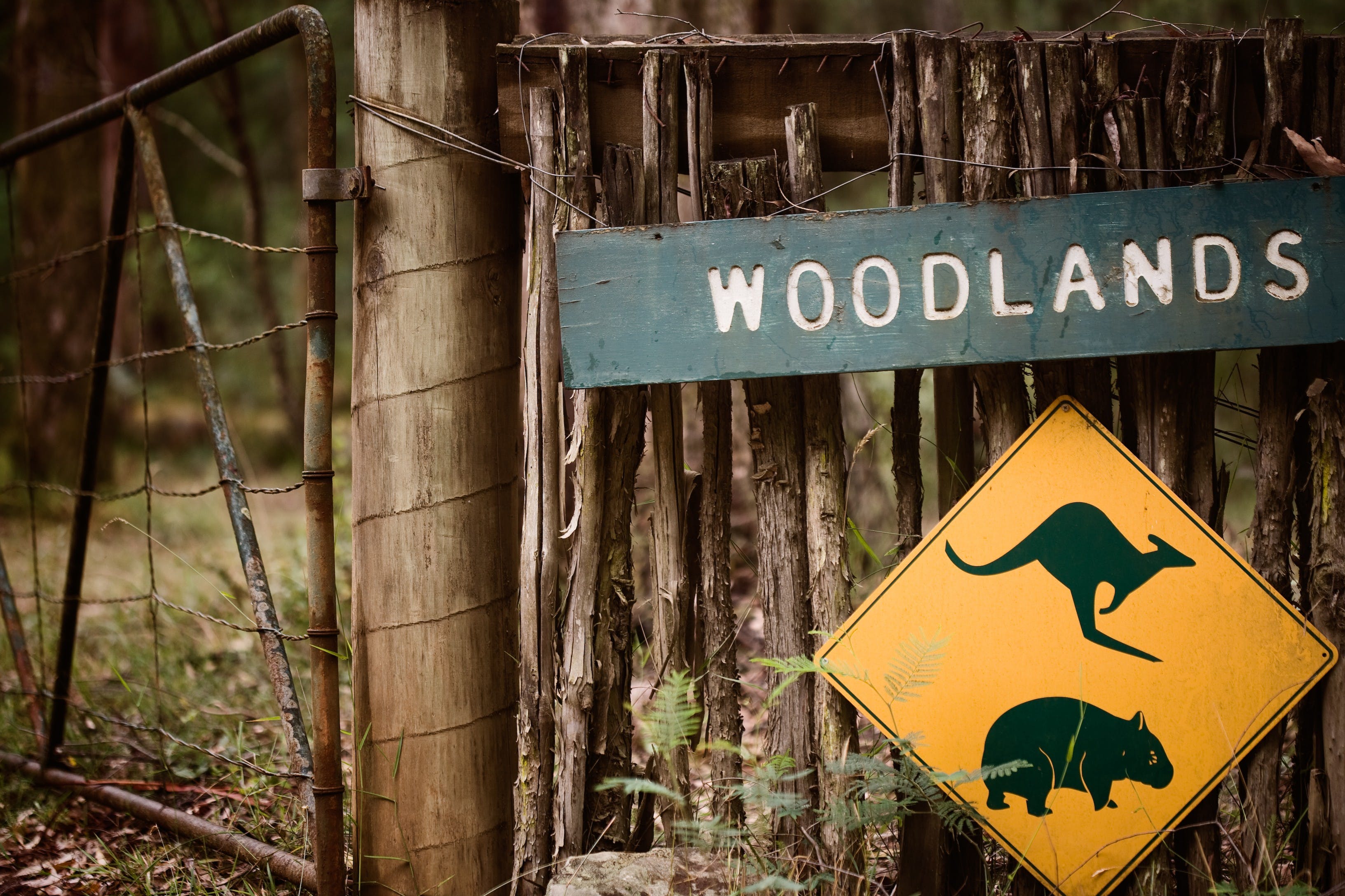 Woodlands Rainforest Retreat - thumb 1